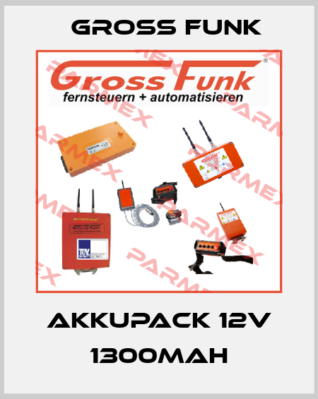 Akkupack 12V 1300mAh Gross Funk