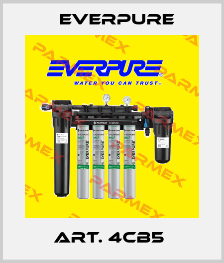 ART. 4CB5  Everpure