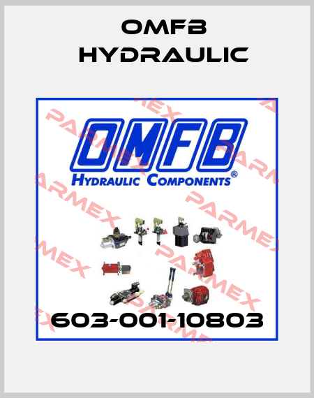603-001-10803 OMFB Hydraulic
