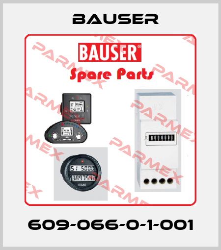 609-066-0-1-001 Bauser