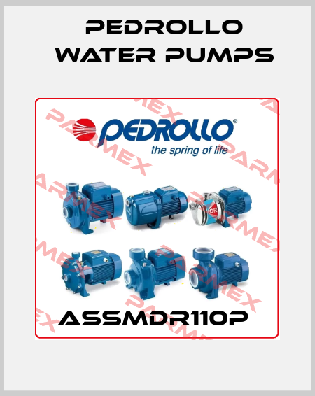 ASSMDR110P  Pedrollo Water Pumps