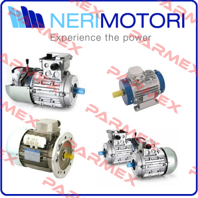 AT100B4-B3-3,0kW-1500 Neri Motori
