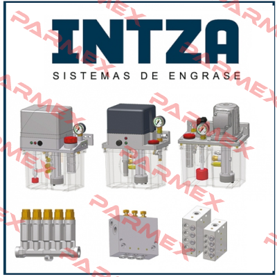 GE11/C-1-253   Intza