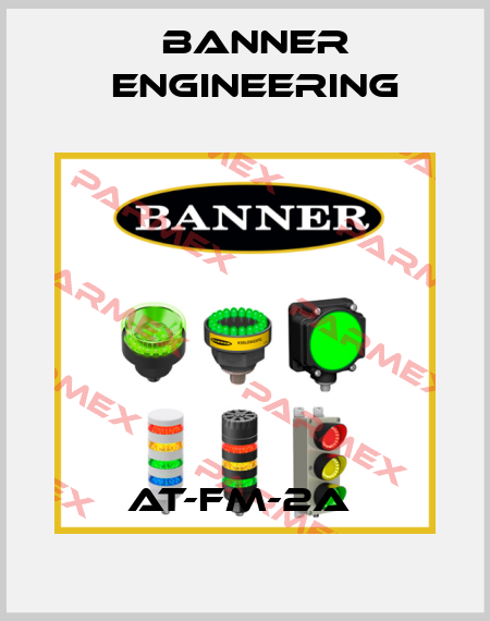 AT-FM-2A  Banner Engineering