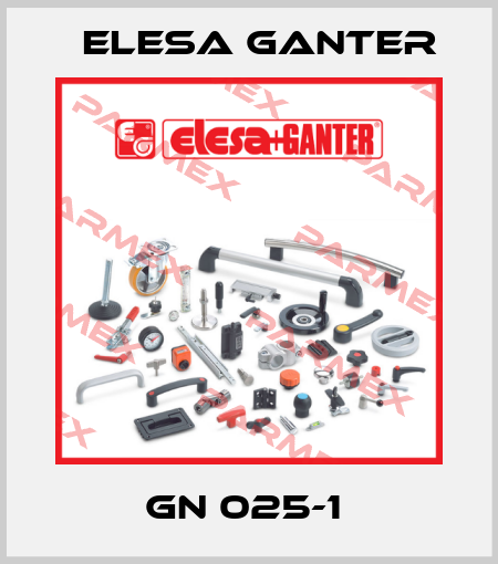 GN 025-1  Elesa Ganter