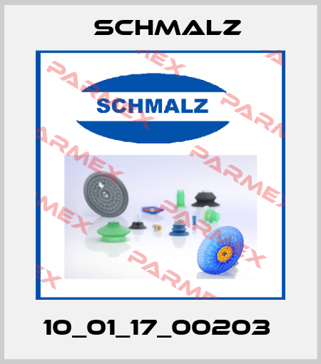 10_01_17_00203  Schmalz