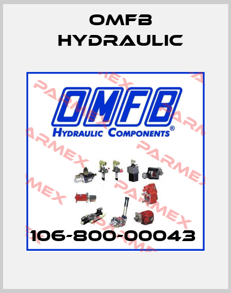 106-800-00043  OMFB Hydraulic