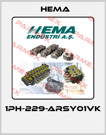 1PH-229-ARSY01VK  Hema