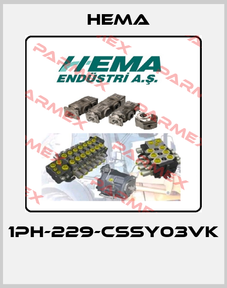 1PH-229-CSSY03VK  Hema