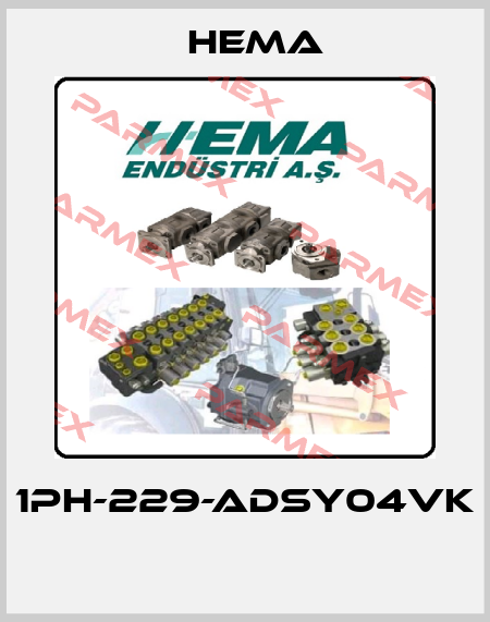 1PH-229-ADSY04VK  Hema
