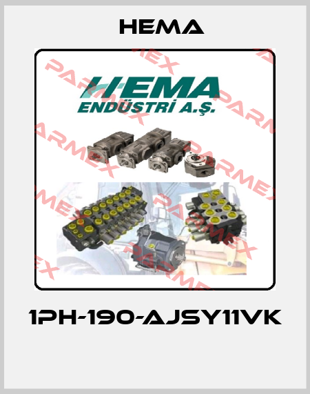 1PH-190-AJSY11VK  Hema