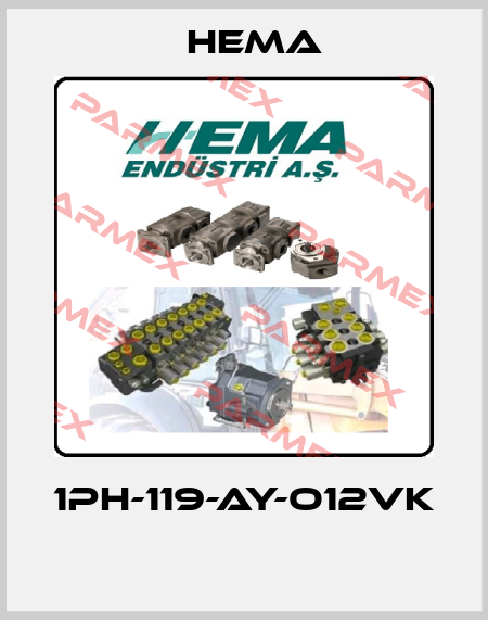 1PH-119-AY-O12VK  Hema