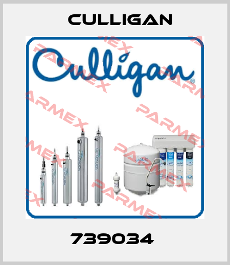 739034  Culligan
