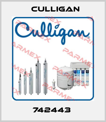 742443  Culligan