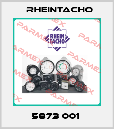 5873 001  Rheintacho
