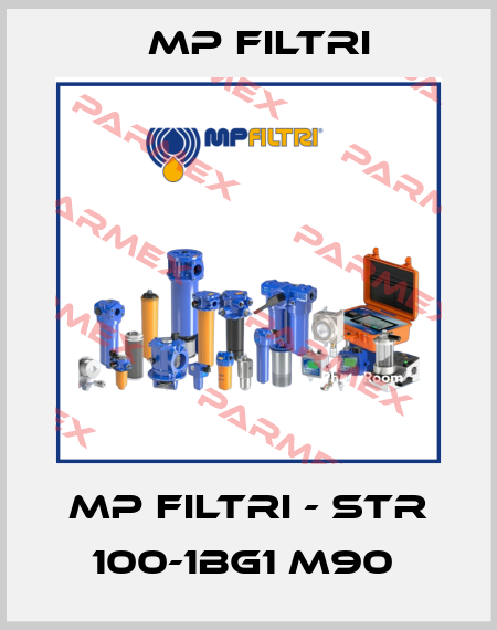 MP Filtri - STR 100-1BG1 M90  MP Filtri