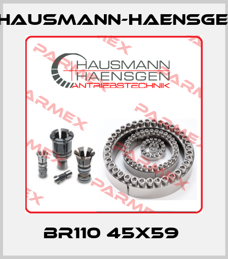 BR110 45X59  Hausmann-Haensgen