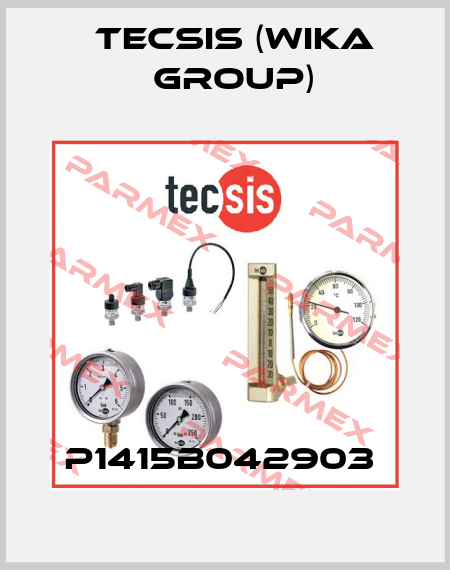 P1415B042903  Tecsis (WIKA Group)