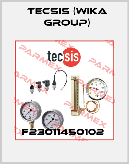 F23011450102  Tecsis (WIKA Group)
