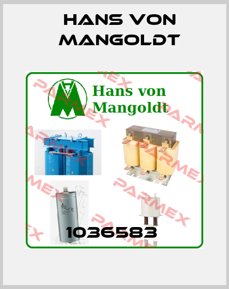 1036583  Hans von Mangoldt