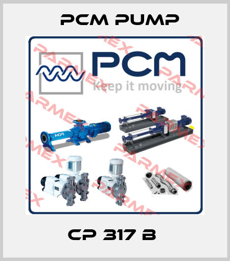 CP 317 B  PCM Pump