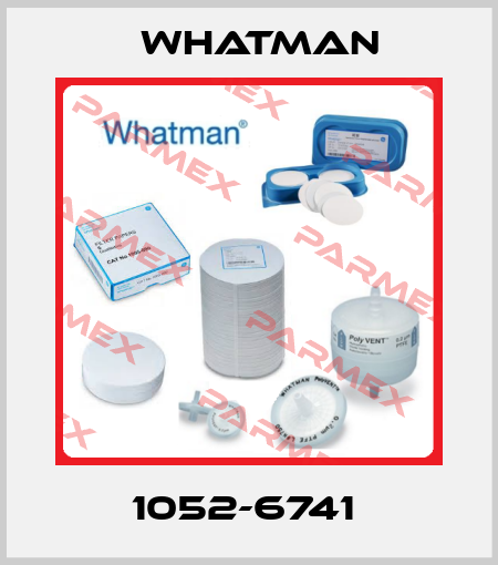 1052-6741  Whatman