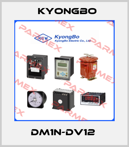 DM1N-DV12  Kyongbo