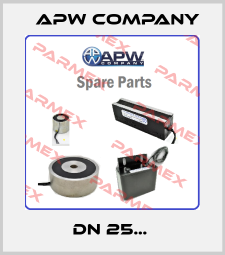 DN 25...  Apw Company