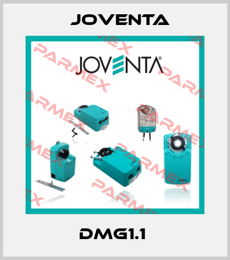 DMG1.1  Joventa