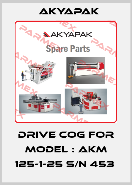 DRIVE COG FOR MODEL : AKM 125-1-25 S/N 453  Akyapak