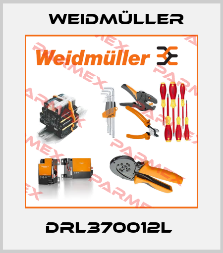 DRL370012L  Weidmüller