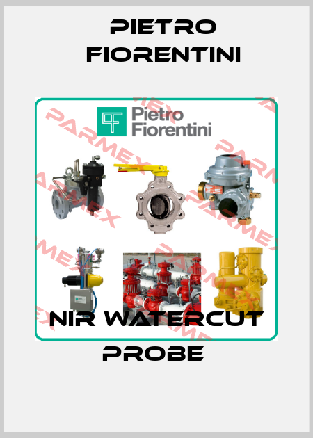 NIR watercut probe  Pietro Fiorentini