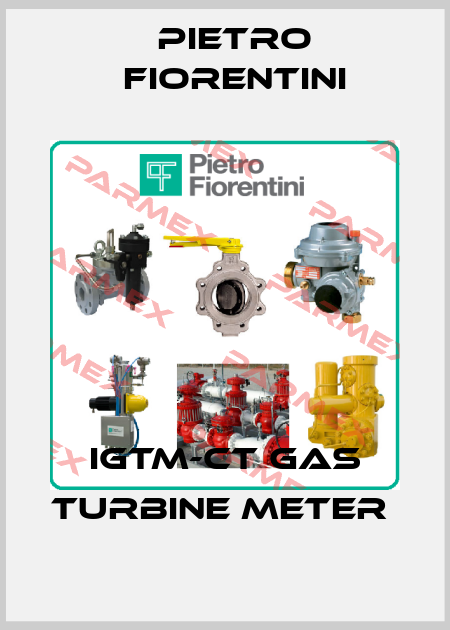 IGTM-CT Gas Turbine Meter  Pietro Fiorentini