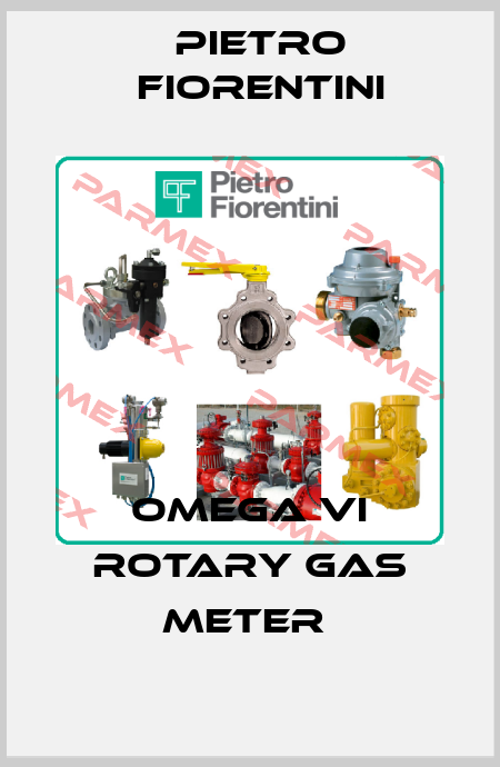 Omega VI Rotary Gas Meter  Pietro Fiorentini