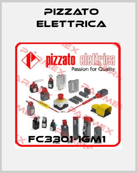 FC3301-1GM1  Pizzato Elettrica