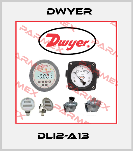 DLI2-A13   Dwyer