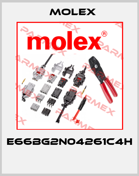 E66BG2N04261C4H  Molex