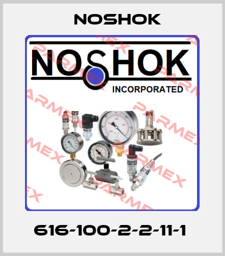 616-100-2-2-11-1  Noshok