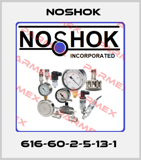 616-60-2-5-13-1  Noshok