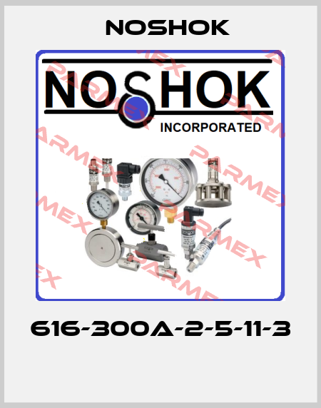 616-300A-2-5-11-3  Noshok