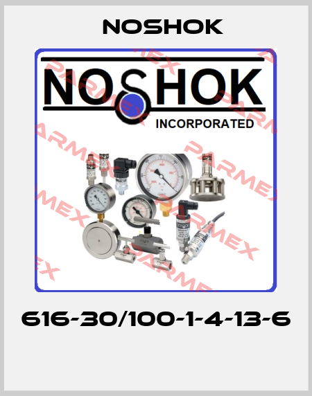 616-30/100-1-4-13-6  Noshok