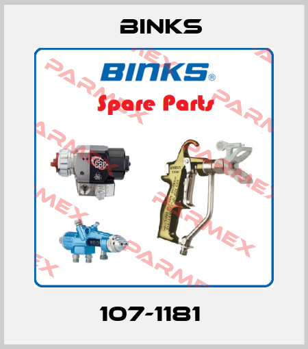107-1181  Binks