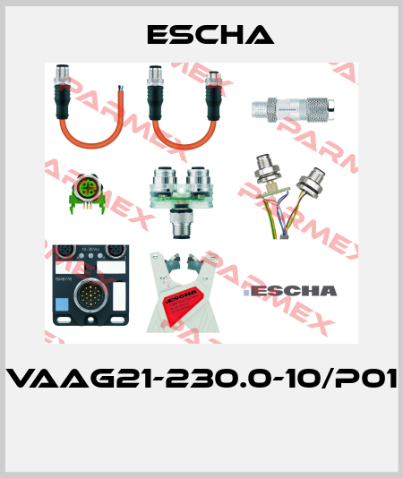 VAAG21-230.0-10/P01  Escha