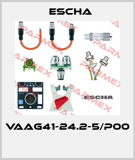 VAAG41-24.2-5/P00  Escha