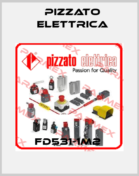 FD531-1M2  Pizzato Elettrica