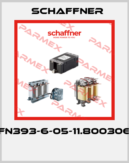 FN393-6-05-11.800306  Schaffner