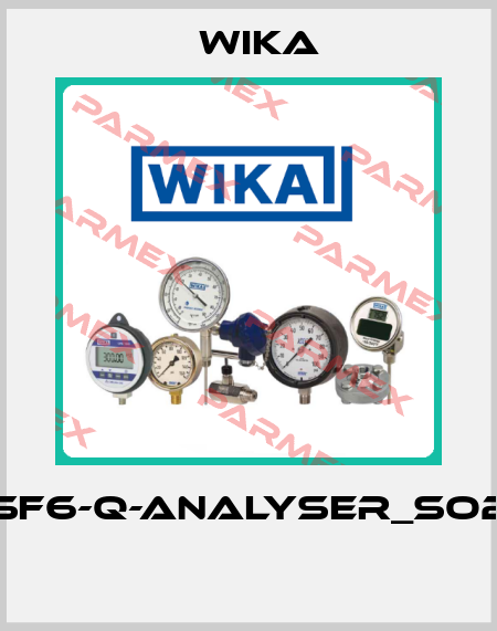 GA11-SF6-Q-ANALYSER_SO2_500  Wika