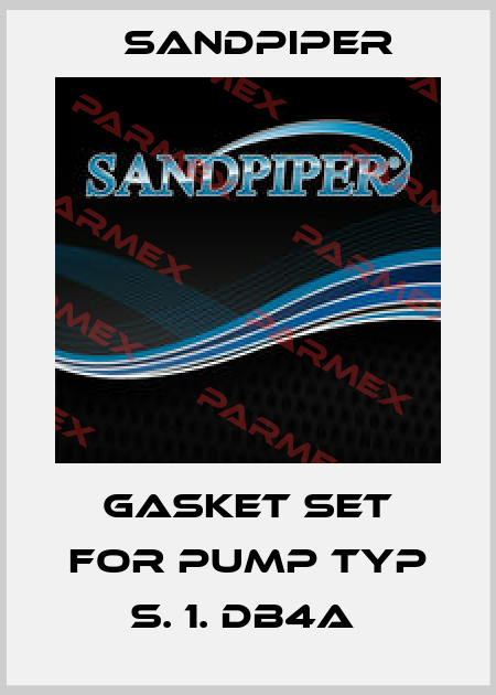 GASKET SET FOR PUMP TYP S. 1. DB4A  Sandpiper