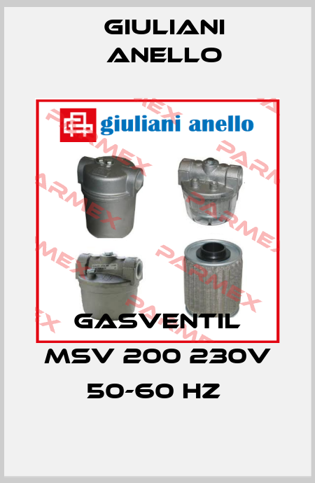 GASVENTIL MSV 200 230V 50-60 HZ  Giuliani Anello