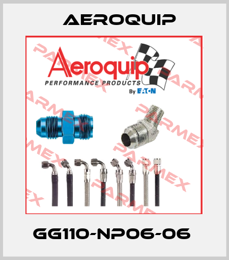 GG110-NP06-06  Aeroquip